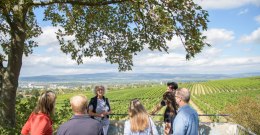 An der Weinmeile gibt es wunderbare Aussichtspunkte von denen man das herrliche Panorama in vollen Z&uuml;gen genie&szlig;en kann. &copy; Angelika Stehle/IKuM GmbH