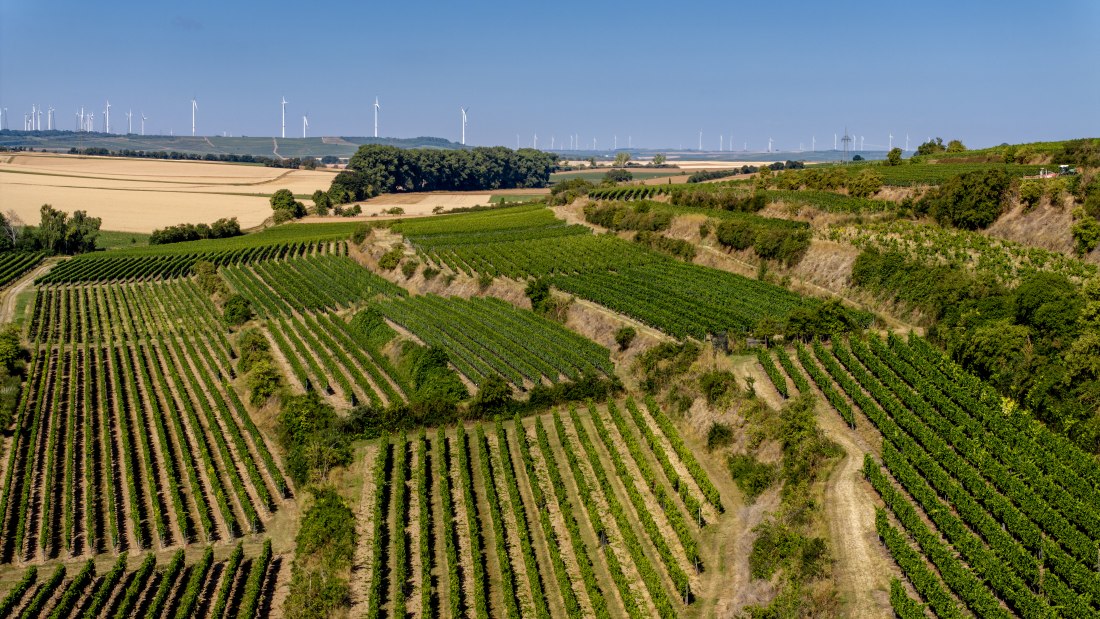 Alsheimer R&ouml;merberg, &copy; Torsten Silz