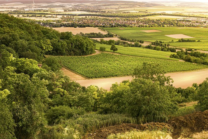 Weingut Schottenhof_Ausblick, &copy; Weingut Schottenhof