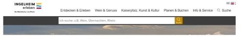 Leichte Sprache - Suche Homepage
