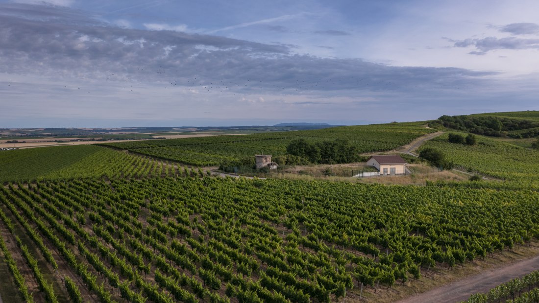 Biebelsheimer Kieselberg