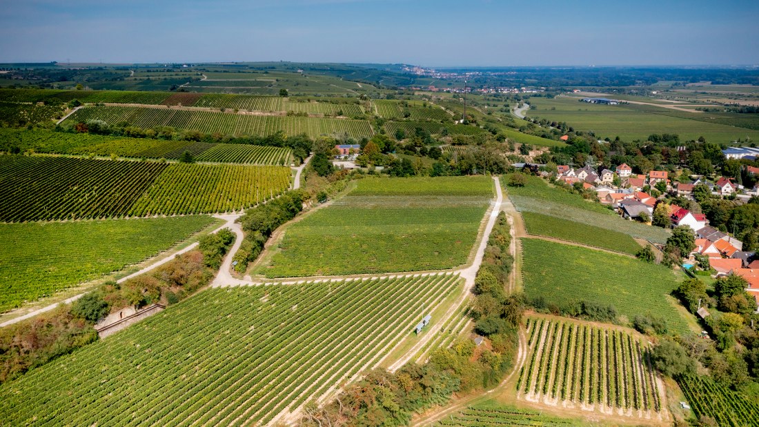 Guntersblumer Bornpfad