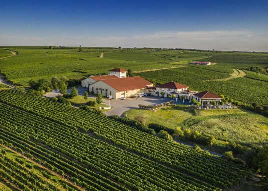 Weingut Raddeck Nierstein &copy; Weingut Raddeck