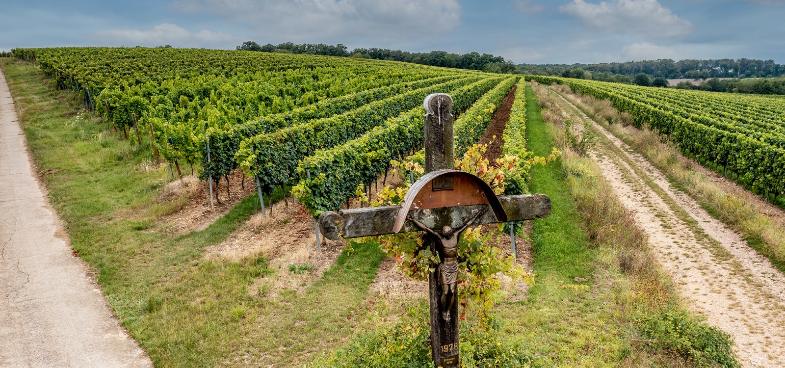 Hackenheimer Kirchberg