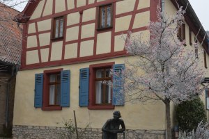Wackernheim Ortsgeschichten