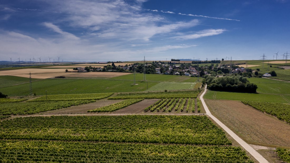 Monzernheimer Goldberg