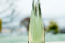 Sauvignon_blanc, &copy; Gut Erbes