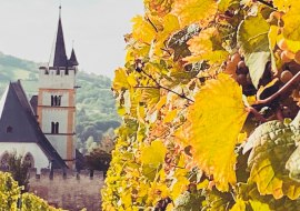 Genuss-KulTour Ober-Ingelheim, © Nadja Glässel-Roucka