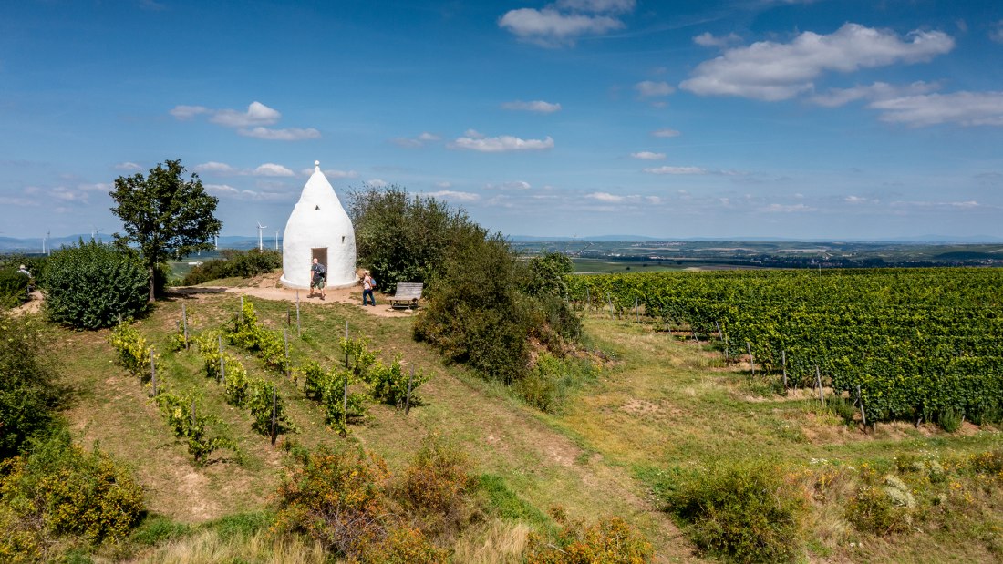 Flonheimer Rotenpfad, © Rheinhessenwein e.V./Torsten Silz