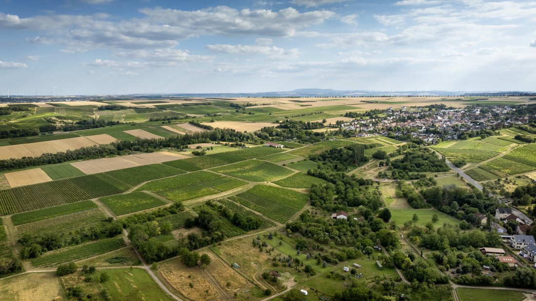 Partenheimer Sankt Georgen, © Torsten Silz