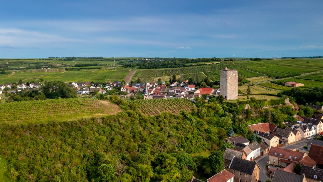 Niersteiner Schlo&szlig; Schwabsburg