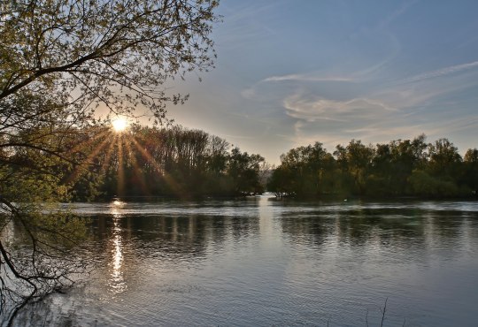 Inselrhein