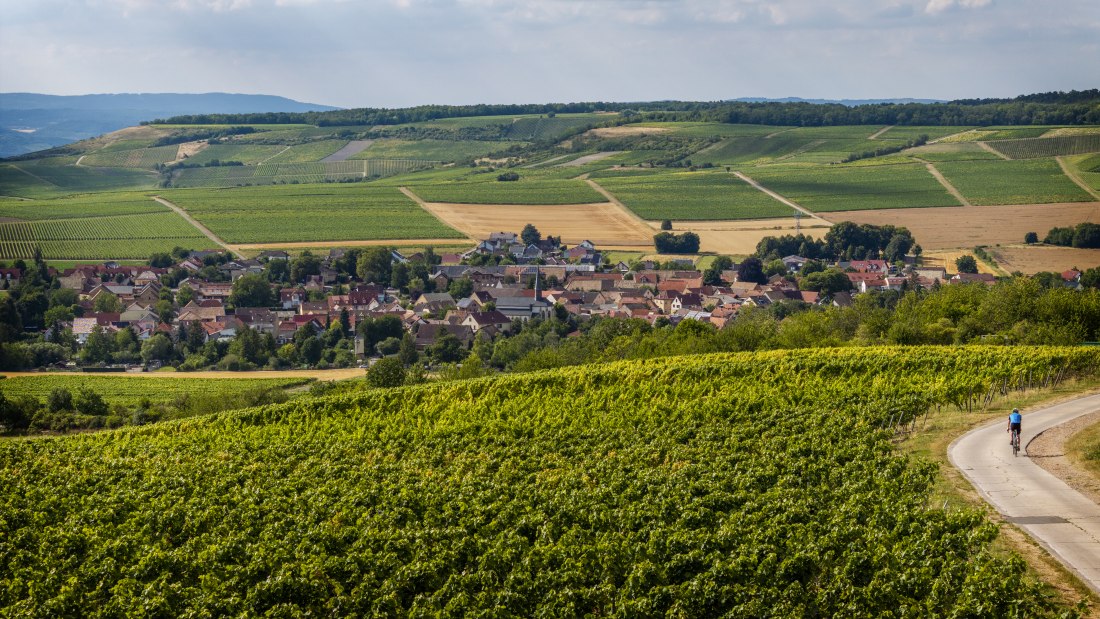 Sankt Johanner Klostergarten, &copy; Torsten Silz