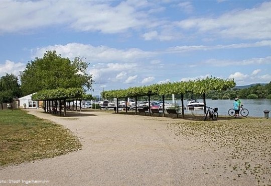 Rheinufer in Heidenfahrt, &copy; Stadt Ingelheim/ml