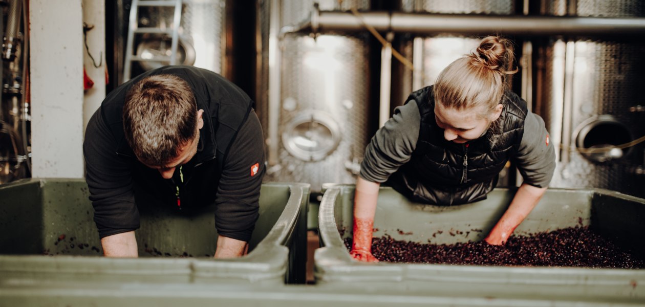 &copy; Weingut Bernhard