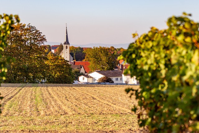 eckert-2, &copy; Weingut Eckert