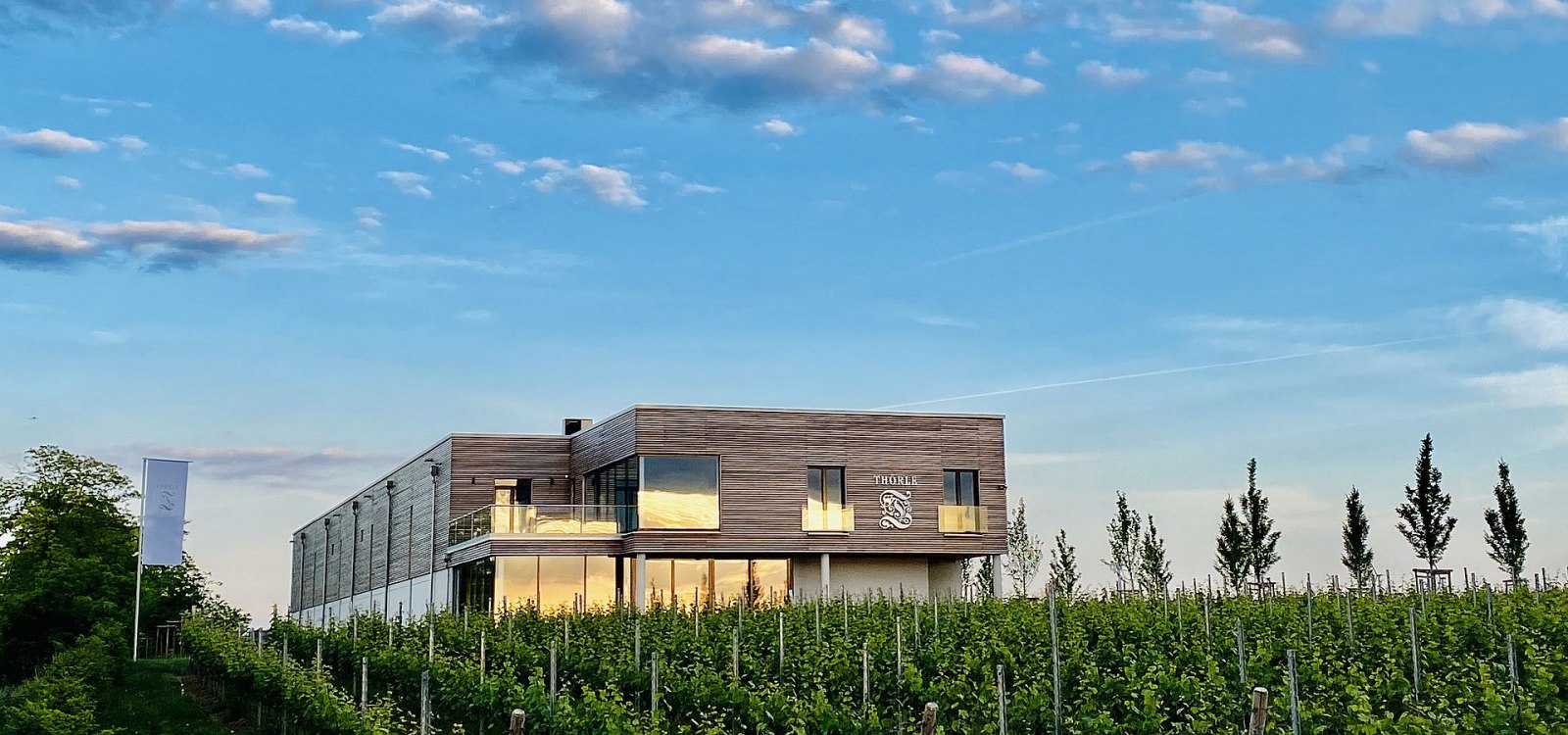 &copy; Weingut Th&ouml;rle