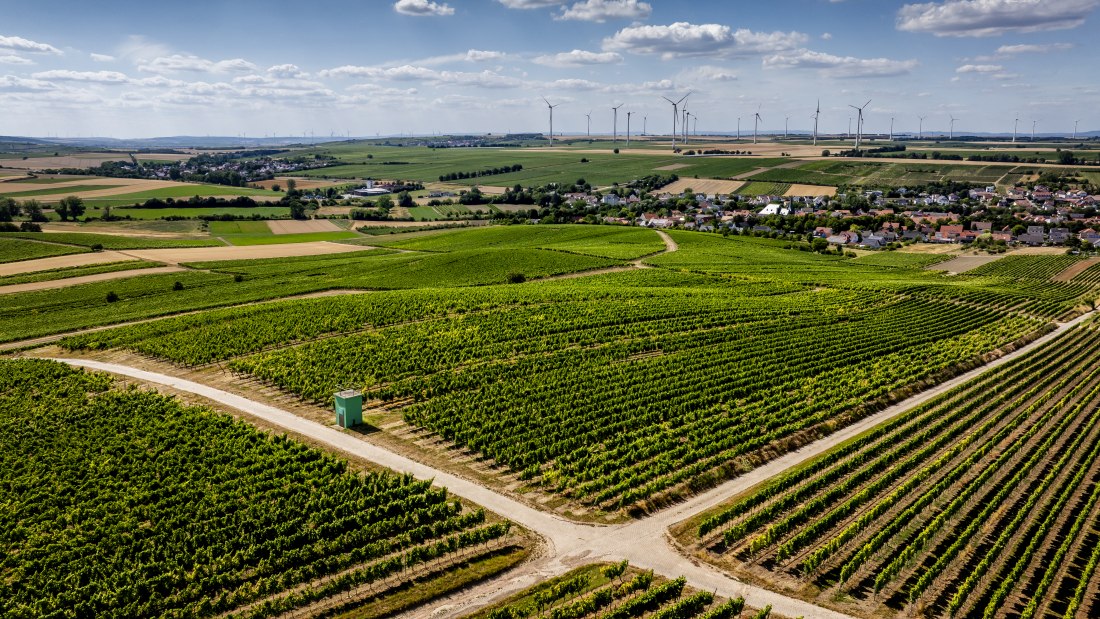 Bechtolsheimer Klosterberg, © Torsten Silz