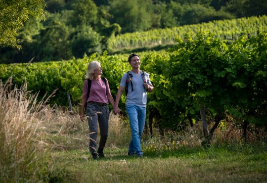 Hiking in Ingelheim am Rhein, © Heike Rost