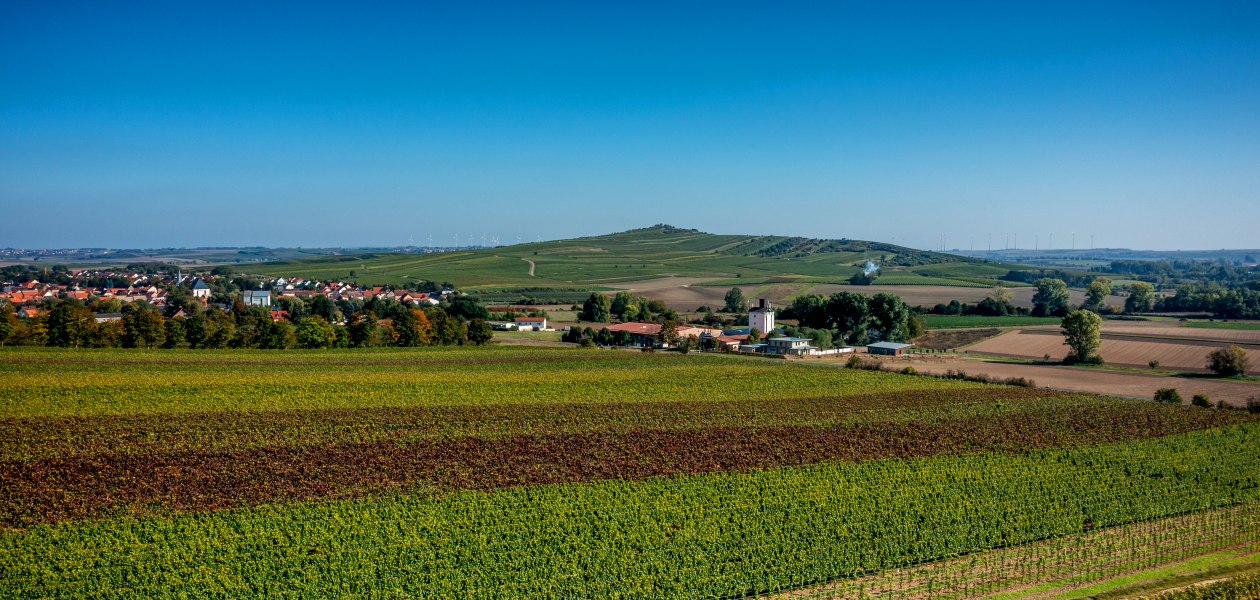 Biebelnheimer Pilgerstein, &copy; Torsten Silz