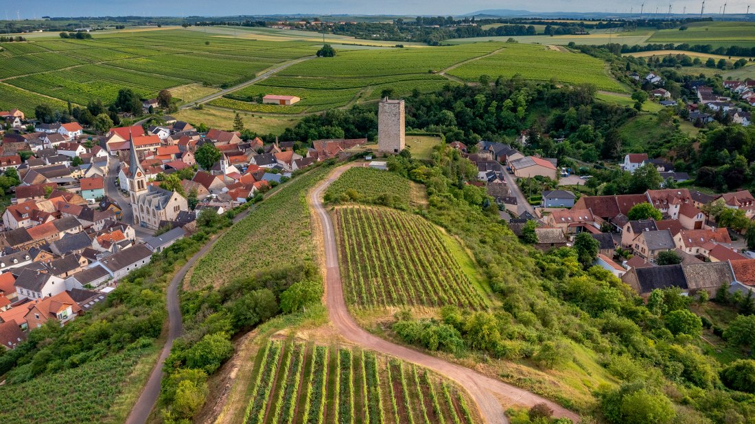 Niersteiner Schlo&szlig; Schwabsburg