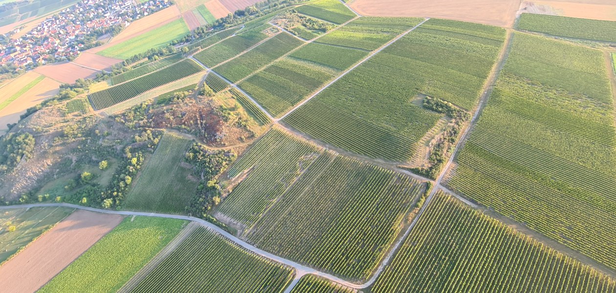20240827_072127, &copy; Weingut Achenbach