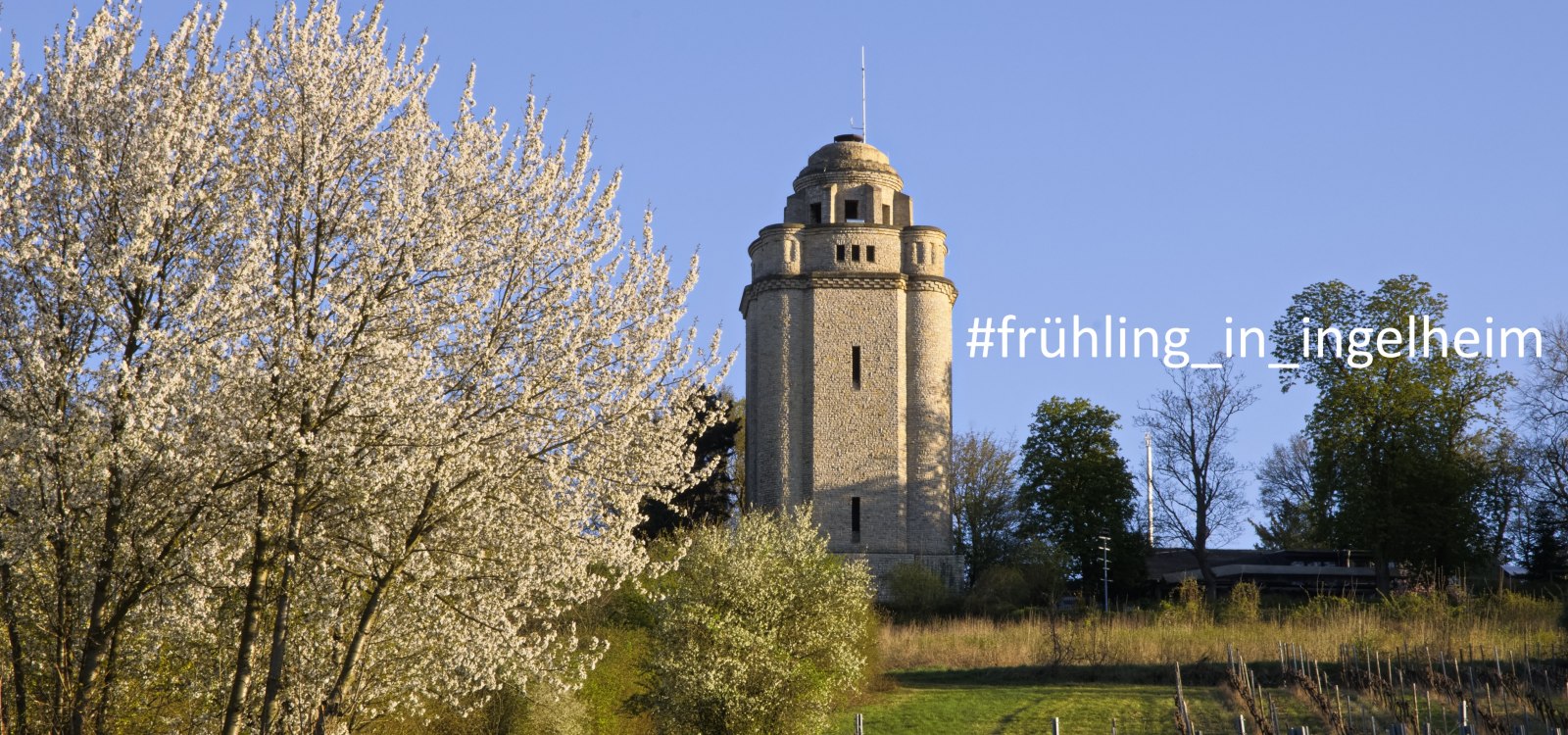 Fr&uuml;hling in Ingelheim, &copy; Rainer Oppenheimer/Stadt Ingelheim