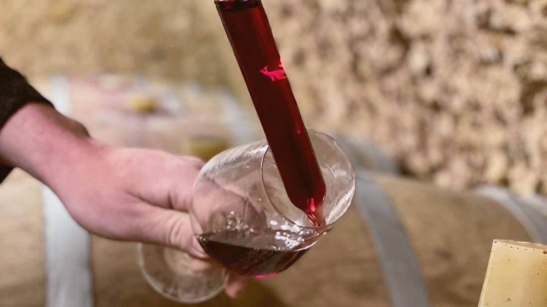 &copy; Weingut Boxheimerhof