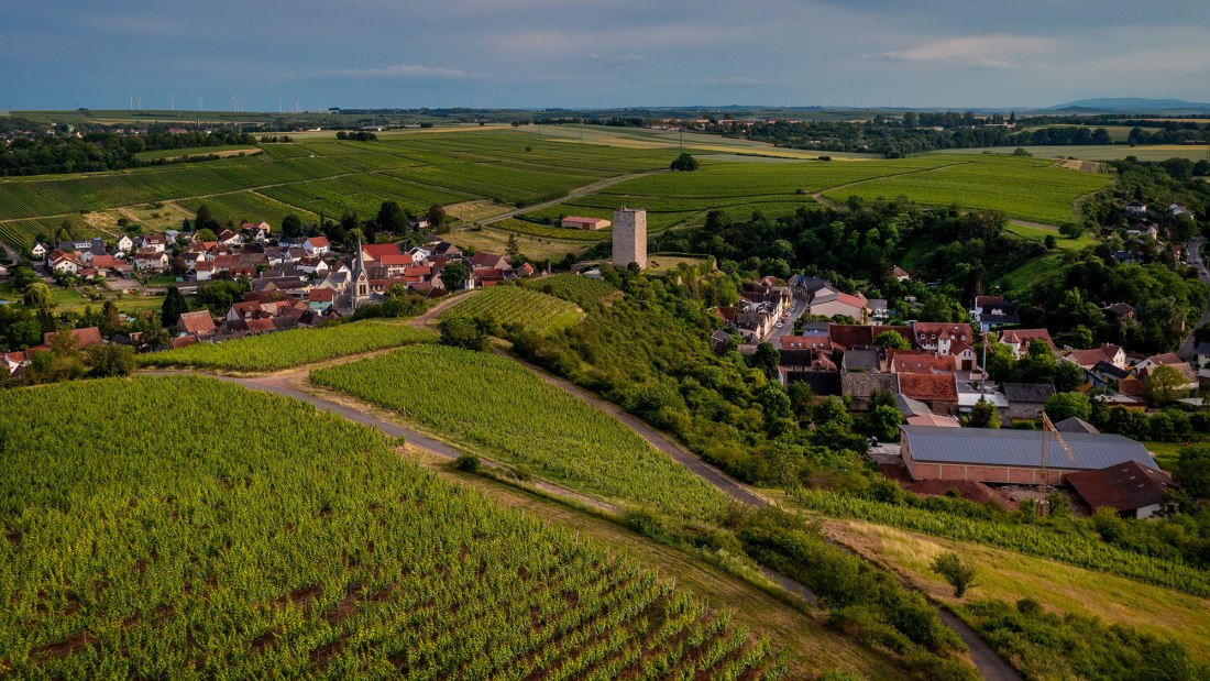 Niersteiner Schloß Schwabsburg