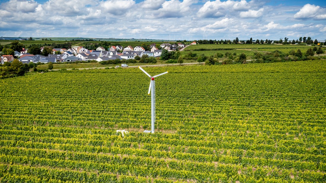 Hohen-Sülzener Kirchenstück