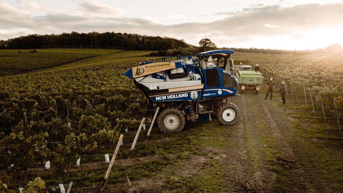 Weingut Breitenbach Merlot Lese 29.09.2019-7