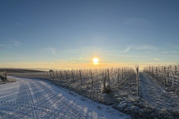 Bio Weingut Hellmich_Schnee, &copy; Bio Weingut Hellmich