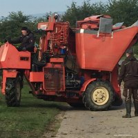 Arbeit in den Weinbergen mit dem Vollernter © Mechtild Weitzel