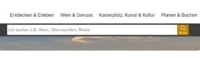 Leichte Sprache - Suche Homepage
