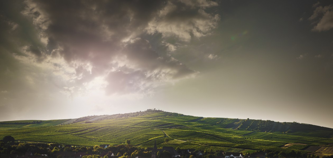 &copy; Weingut Bretz