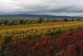 New Andreas Durst &copy; Andreas thirst