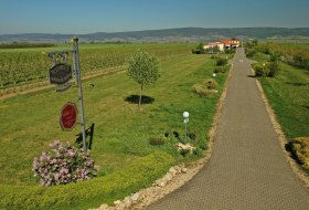 Camper parkeerplaats Weingut Menk