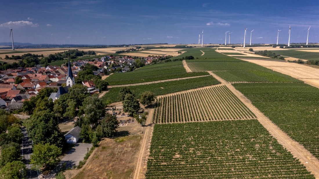 Gabsheimer Rosengarten