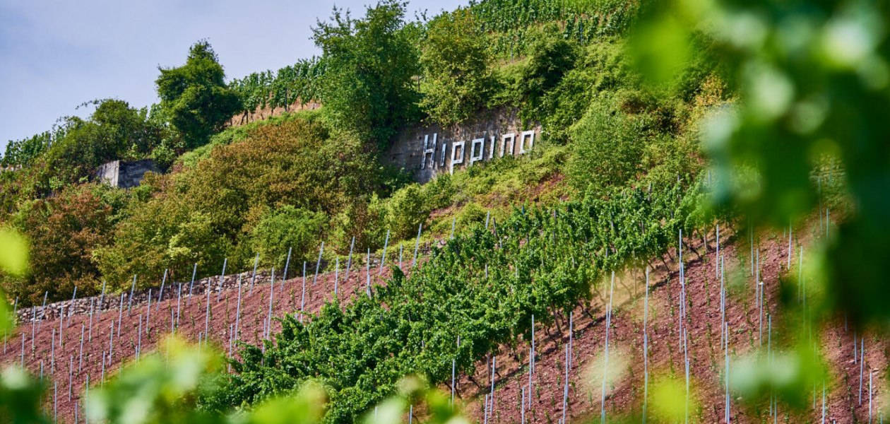 Weingut Manz_Hipping, &copy; Weingut Manz