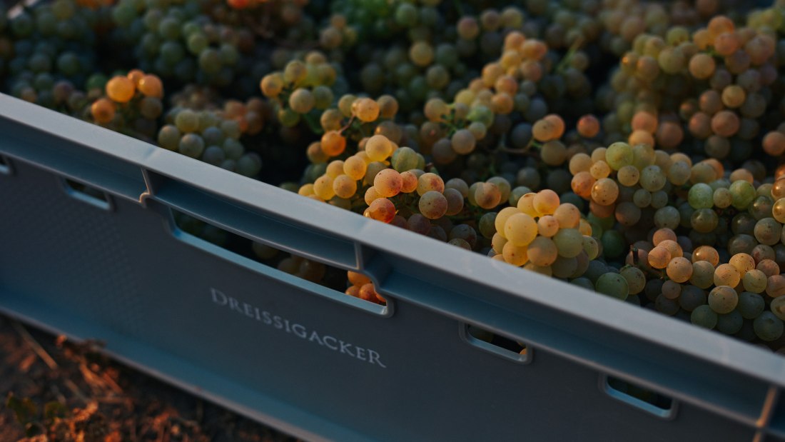 &copy; Weingut Dreissigacker