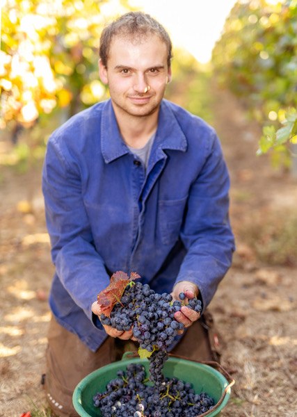 eckert-3, &copy; Weingut Eckert