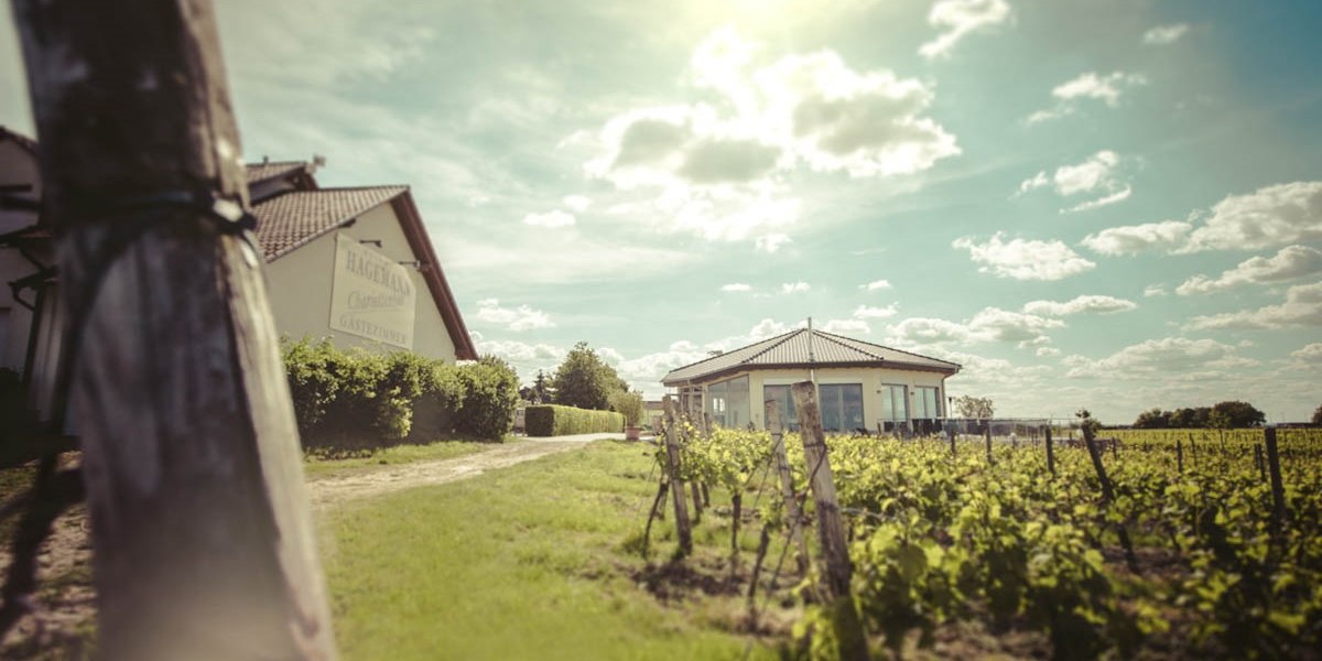 exterior-vinotheque-and-guesthouse, &copy; Weingut Hagemann