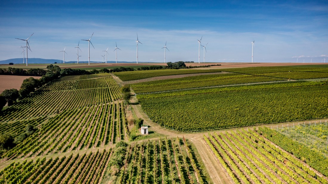 Flomborner Feuerberg