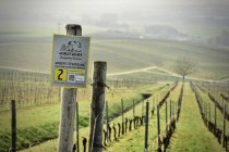 &copy; Weingut Wagner