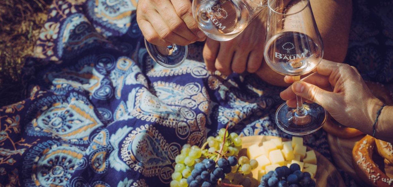 Weingut Baum_Weinprobe Weinberg, &copy; Dirk Behlau