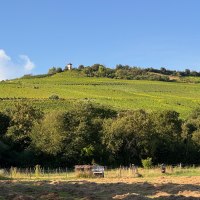 Schöne Aussicht vom Radlertreff