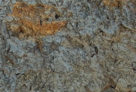 Tonmergel Pelosol, &copy; Landesamt f&uuml;r Geologie und Bergbau Rheinland-Pfalz