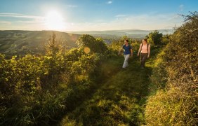 Rheingaublick &copy; Dominik Ketz