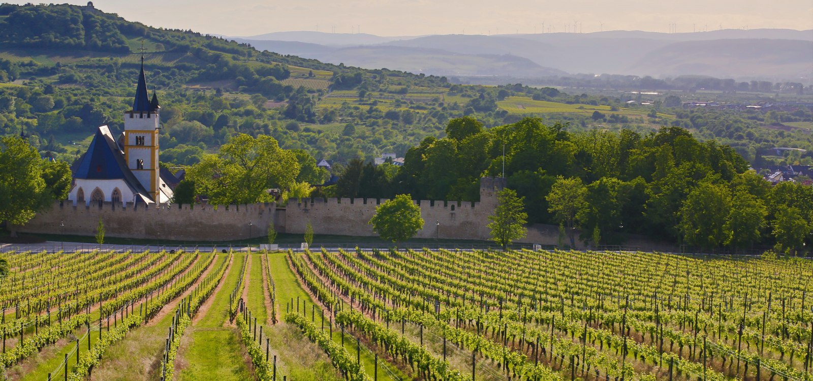 Ober-Ingelheim - panorama picture, &copy; Rainer Oppenheimer