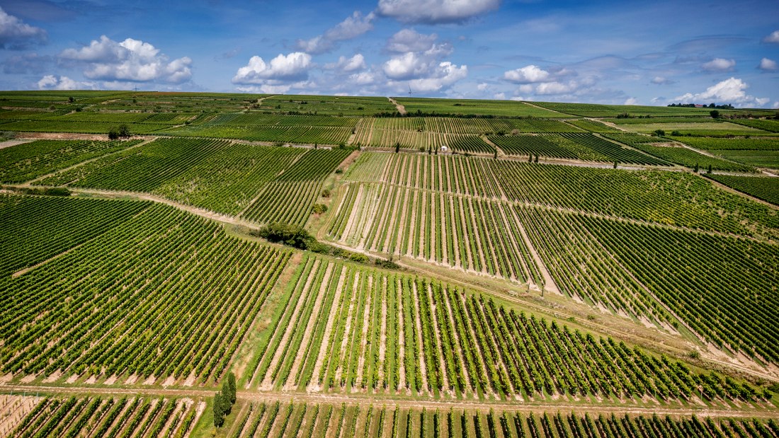 Westhofener Morstein